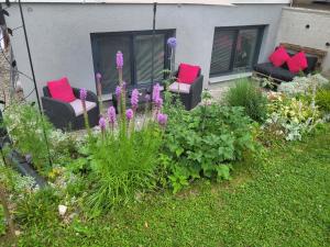 Don Papas Büruh Apartment