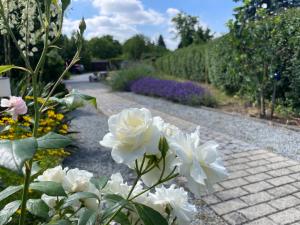 Ferienhaus Amare mit Fasssauna, eigener Terrasse & Kamin