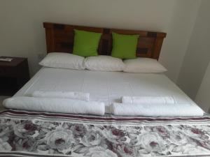 Airport and Paddy View Home Stay