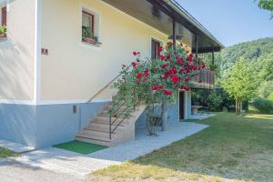 Apartments in Stari trg ob Kolpi - Süd-Ost Slowenien 42908