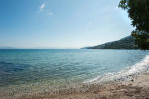 Corfu Beachfront Villa Corfu Greece