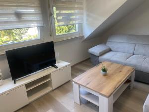 Holunder nah am Waldsee 3