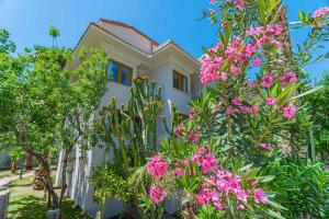 Dream of Oludeniz Hotel -All inclusive