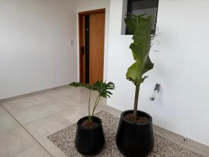 Departamento con vista al Parque