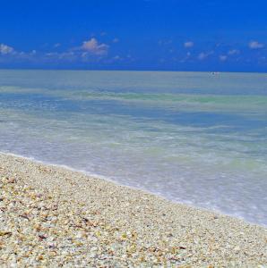 Serene 3rd story condo with amazing views Sanibel Island - Sandalfoot 2B3