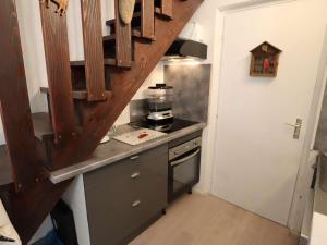 Duplex lumineux 4-6 pers à Arêches-Beaufort, proche pistes - FR-1-342-216