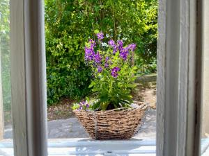 Relaxing family retreat