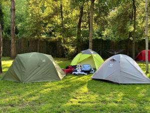Empty Lot (Bring your own Tent) room in Camping Viareggio