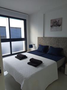 Apartament Dariusz Torrevieja
