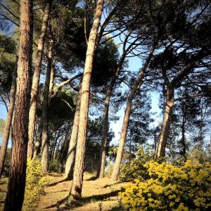 Maisons de vacances Chez Pascal et Marion : photos des chambres