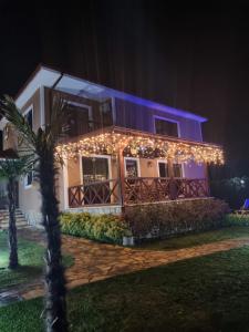 Sapanca Seyrusefa Villa