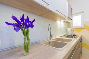 Apartment in Grebastica 7033