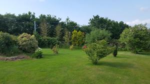 Maisons de vacances Resort between Utah Beach and Barfleur : photos des chambres