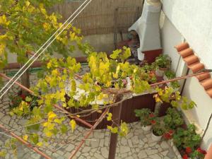 Apartment in Pula - Istrien 11382