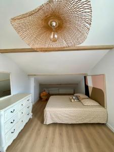 Appartements Le cocon Landais : photos des chambres