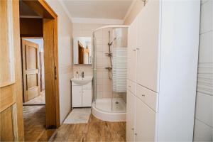 B&B Apartment Racman 