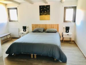 Maisons de vacances Gite mon reve a Scherwiller avec SPA sur la route des vins au coeur de l-alsace : photos des chambres
