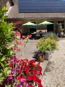 Vakantieboerderij De schapenweide