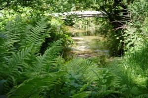 Fills Oase am Bach