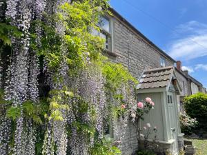 Wayside Cottage - Cosy Cottage in Somerset