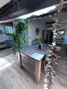 Nid chaleureux en Provence