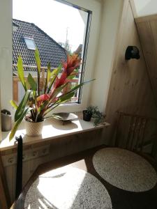 Stuudio 7,Otepää linn 67404,Valgamaa