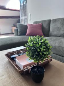 Appartements Nid chaleureux en Provence : photos des chambres