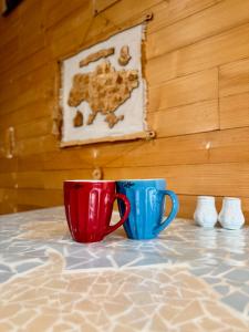 Затишна двокімнатна квартира на Вільямса