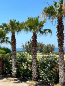 Nzemmula Casita al Mare