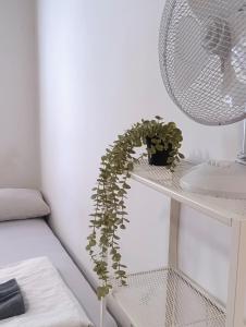 Apartment for families or groups 