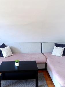 Apartment for families or groups 