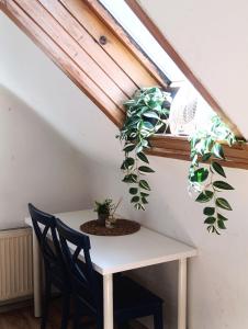 Apartment for families or groups 