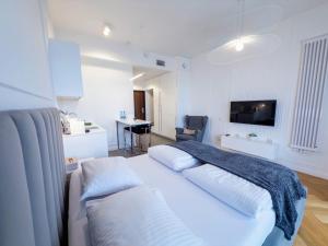 Hanza Tower Apartments Premium