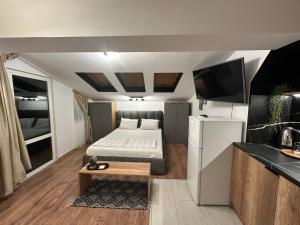 Studio with TERRACE - city center