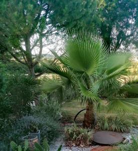 Maisons de vacances Les Treillettes : photos des chambres