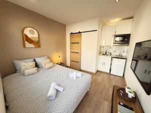 Studio Le Rubis New & Cocooning - Gare Parilly
