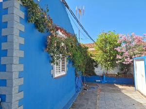 Suite 2 rooms Sea View