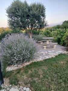 Maisons de vacances Les Treillettes : photos des chambres