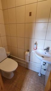 House with sauna near of lake Viljandi