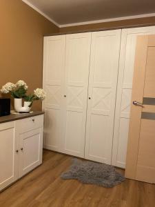 Apartament Torun Jar