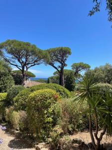 Villa Les Chênes - Golf de Saint-Tropez Experience