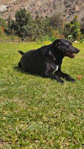 Casa de Campo La Chocita de Gladis