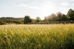 Ferienhaus Rovinj mit Pool