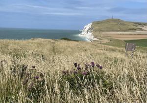 Maisons d'hotes L-ecorce marine : photos des chambres