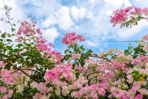 Appartements Ciotat t2 : photos des chambres