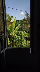 Maisons de vacances Les bananiers : photos des chambres