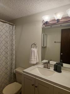 Rustic Mountain Escape Waterpark, Ski & Views!