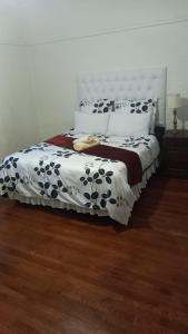 Langholm 60 Kloof Street