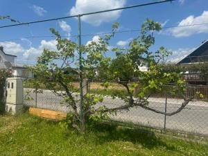 Old house Maribor pod Pohorjem