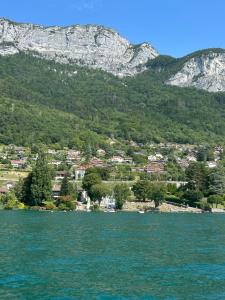 Appartements Veyrier-du-Lac ANNECY 60 m2 4-6 pers proche plage 1Garage Terrasse vue lac : photos des chambres